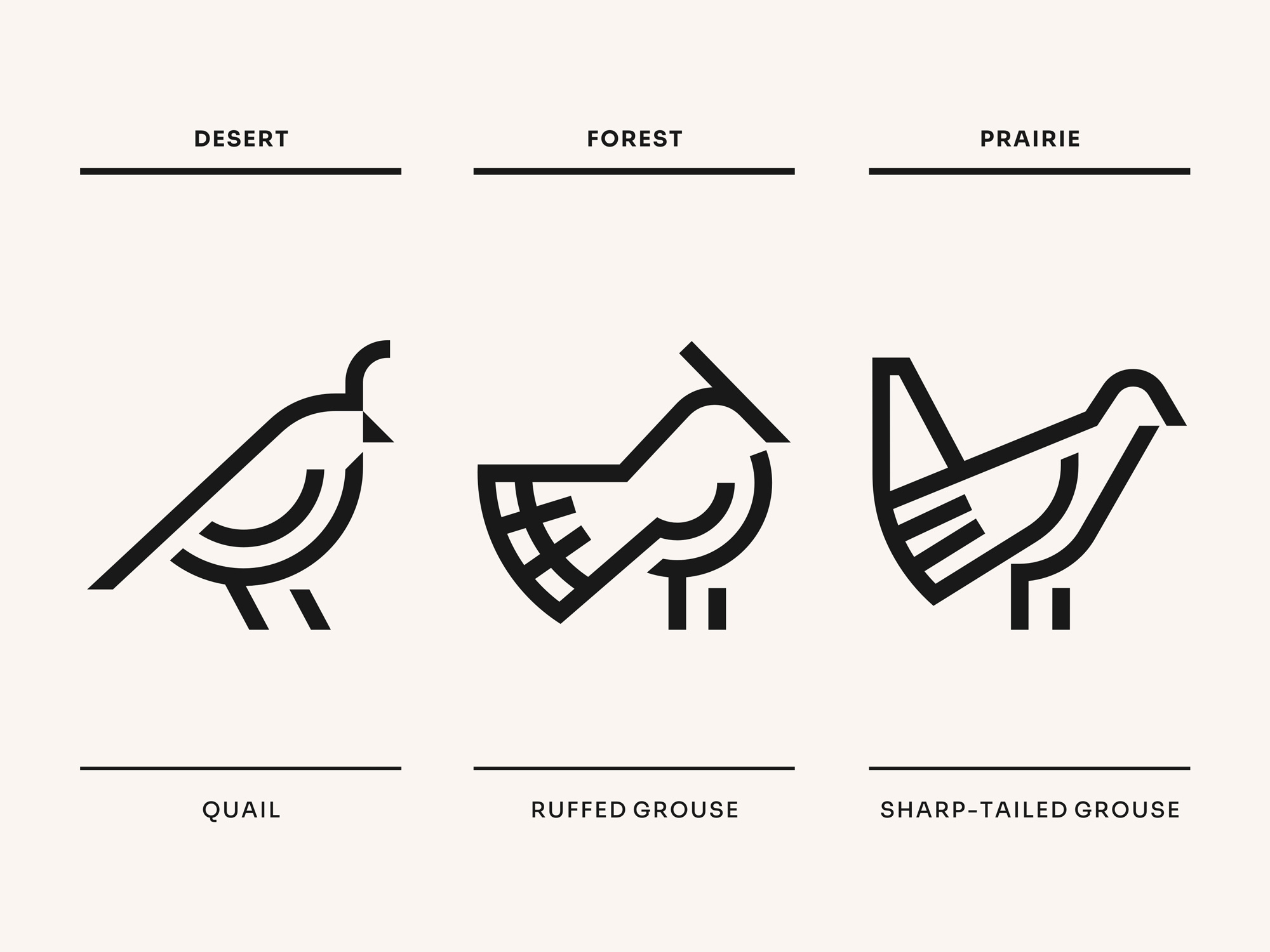 Example of Matel Family > Birds Logo Set