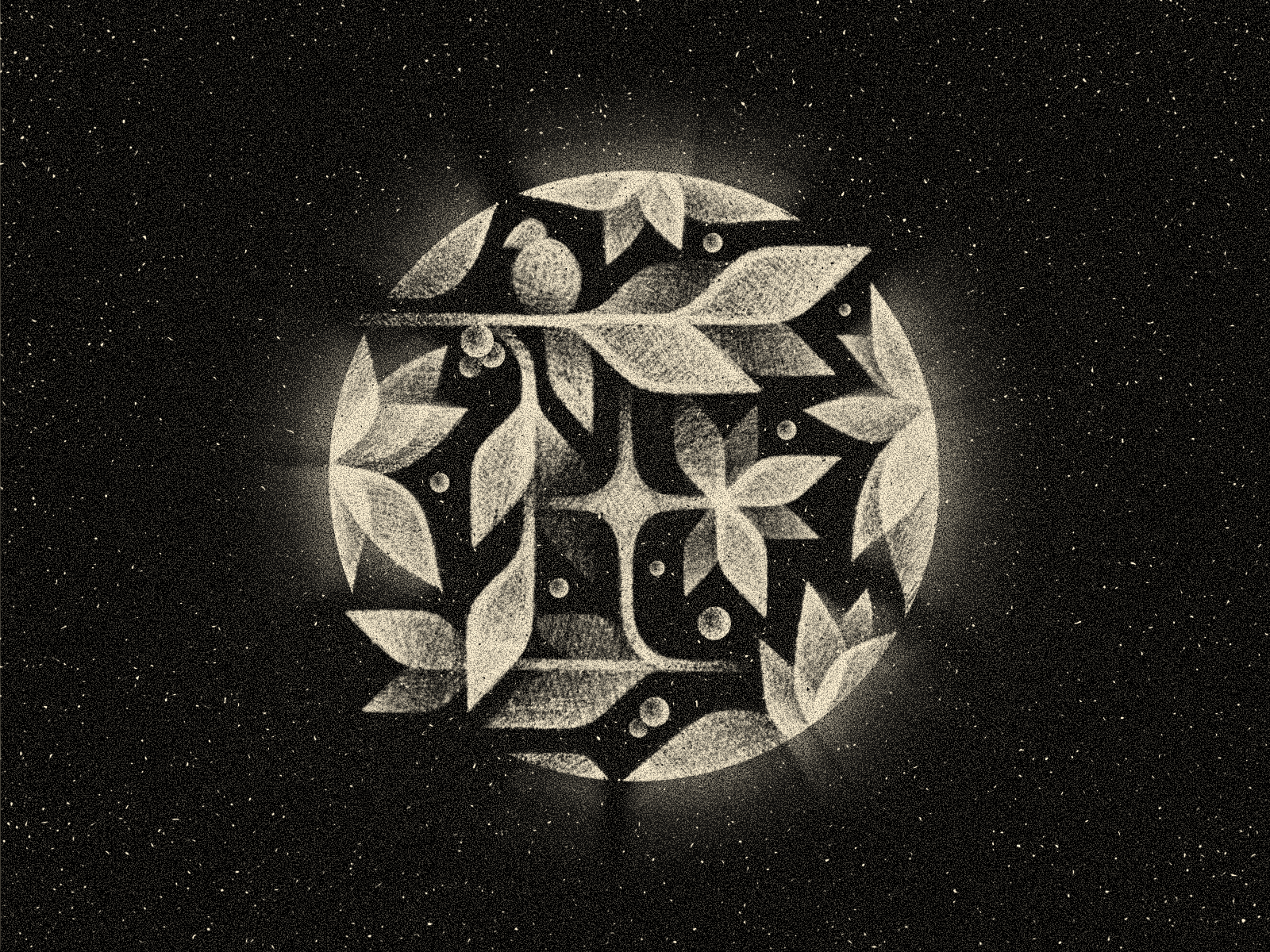 Example of F ✦ Florae