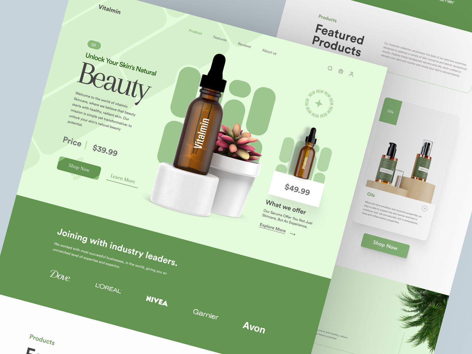 Example of Shopify Website Design & Development